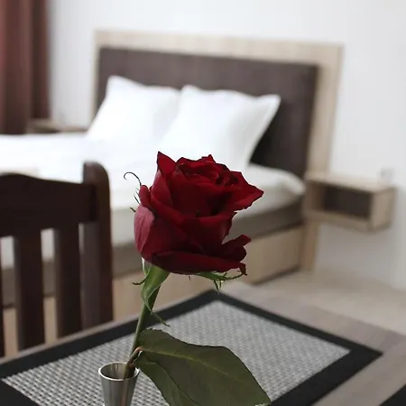Luxor Apartment *