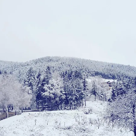 Luxor فيلينغراد