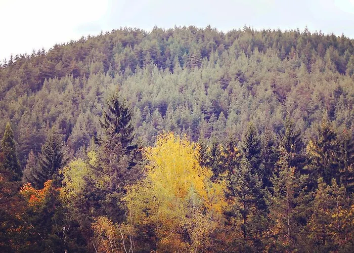 апартмент луксор Апартамент